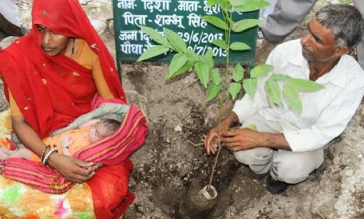 111 Trees for Each Girl child