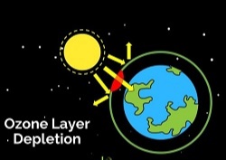 ozone layer depletion