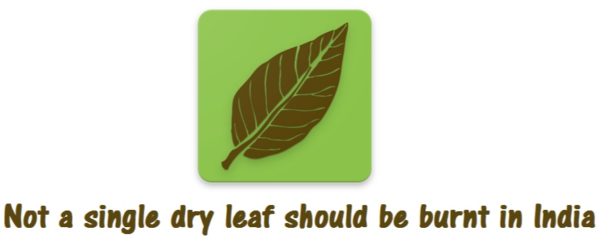 Brown Leaf Logo