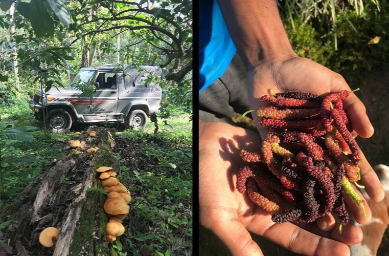 Zama Organics with a system of more than 50,000 farmworkers across India