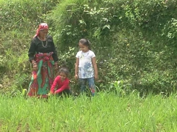 Prabha Devi Planting Saplings