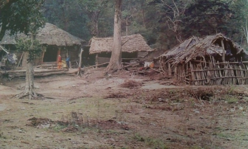 Chinnappa brought the tribes out into the developed world and showing them how they could earn without serving the poachers or killing the forest