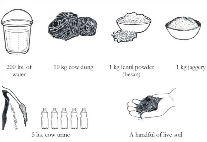 how to prepare Jeevamrut