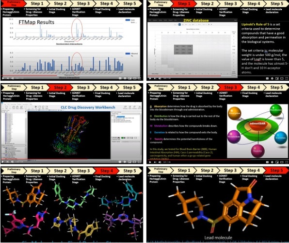 Anika included an in-silico drug delivery technique to identify a receptor that can bind specifically to the SARS-CoV-2 Surface protein to treat the COVID-19 pandemic