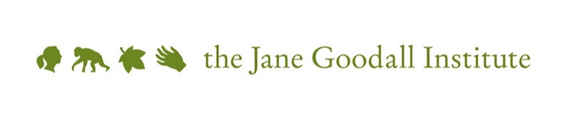 jane goodall foundation