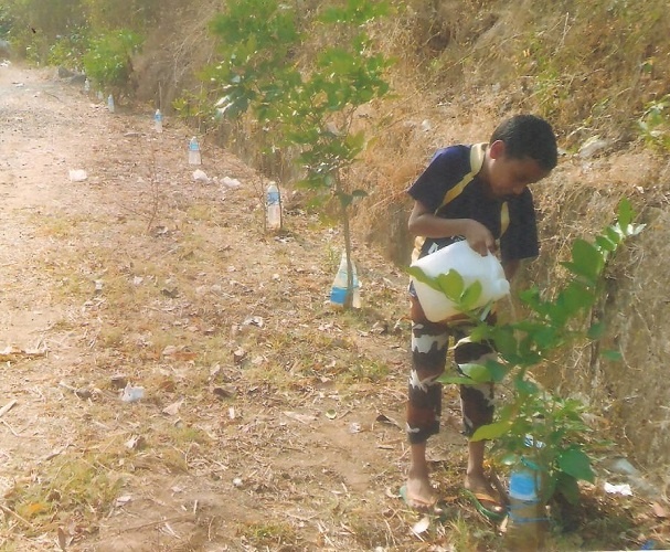 He places a stick beside the tree and ties to it, a plastic bottle with a small hole to let the soil around the tree be moist