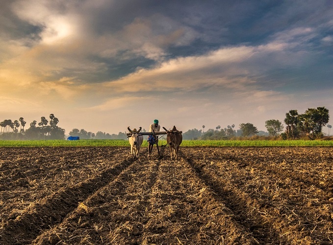 His close observation of the farmers and their agricultural practices across