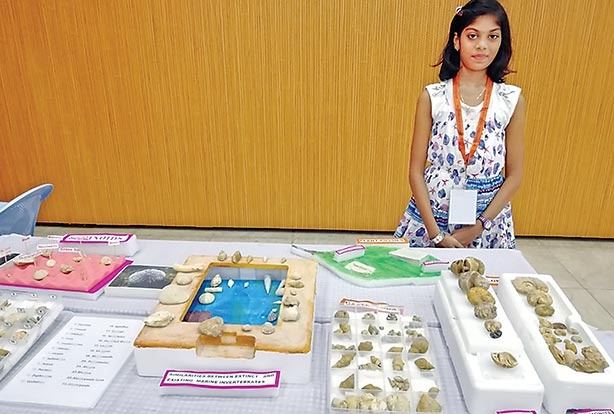Aswatha biju young fossil enthusiast from Chennai has collected close to 114 Fossil specimens and turned her house into a mini fossil museum