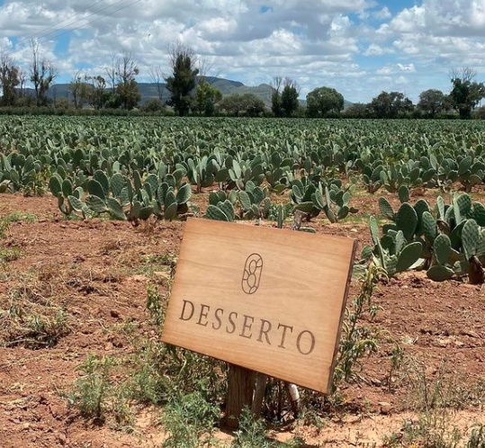 Desserto is a highly sustainable vegan leather made of cactus