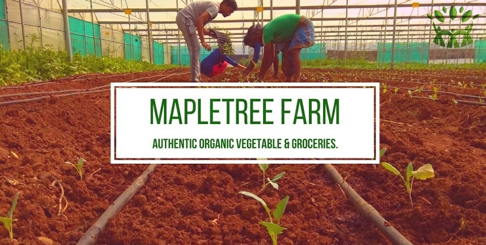 Mapletree Farms