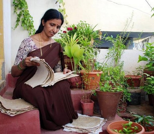 Pulpy Sheets With Seeds - She said that the sheets of paper were the size of a handkerchief