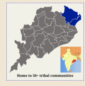 this platform focuses on providing the Sabai artisans in the Mayurbhanj district that houses 45 tribal communities to rightful financial boost