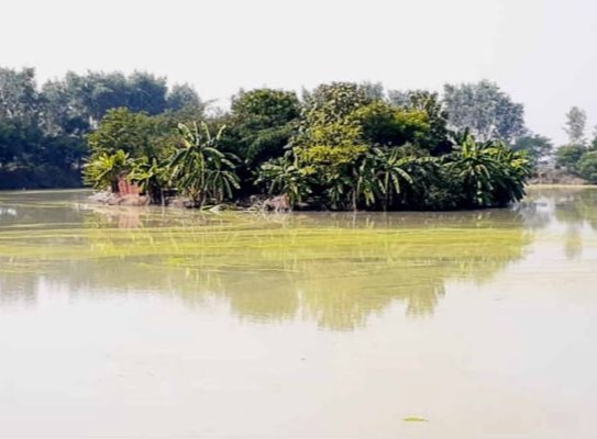 Water-logged Land Made Into A Tourist Attraction