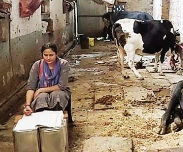 her study room was the cowshed and her study table was arranged in the corner of the cowshed with four empty oil cans