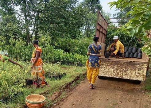 Subhajit Mukherjee initiated the green mission in Mumbai and that has come a great way and still going green