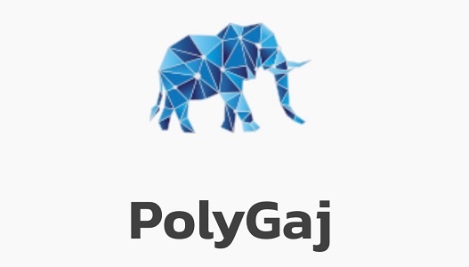 Naik built and designed PolyGaj, a one-stop NFT and DeFi platform based on the Polygon blockchain