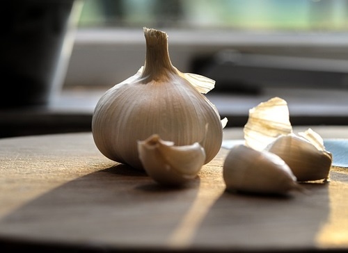 Yokitomo was surprised at how the mixture had developed a bitter taste similar to that of coffee