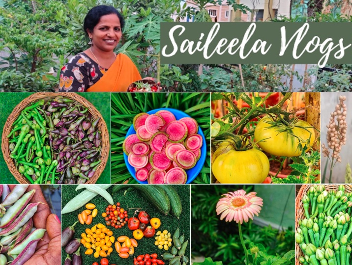 Different Vegetable on a Terrace garden has dazzled the viewers. Exciting, useful tips from her