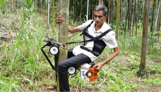 'Areca Bike' that climbs 84-meter-tall Areca nuts in 30 seconds. A conservative and easy-to-use machine reduced costs by 20percent