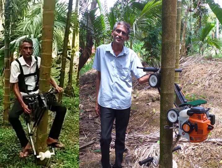 A Bike climb tall trees in just 30 min, covers 90 Areca nut trees. Gaining international attention