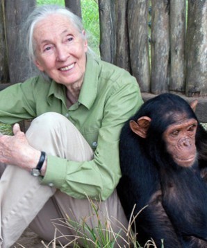 jane goodall