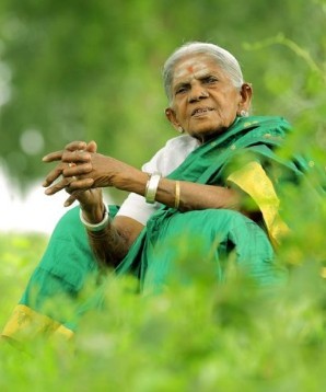 saalumarada thimmakka