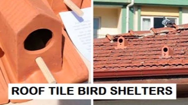 Tiles that also serve as bird houses! A Turkish company's design is helping revive the declining bird population.